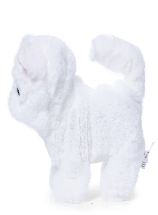 روان لعبة قطة كاسبر المحشوة القابلة للعناق من فوزباز، ألعاب ناعمة للأطفال، دمى قطيفة لطيفة باللون البنفسجي، متعددة الألوان، مناسبة للأطفال من عمر 3 سنوات فما فوق | لعبة قطيفة ناعمة للأطفال | لطيفة وآمنة ومناسبة كهدية - Image 2